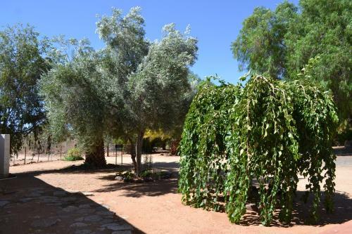 Agroturismo Savanna Guest Farm