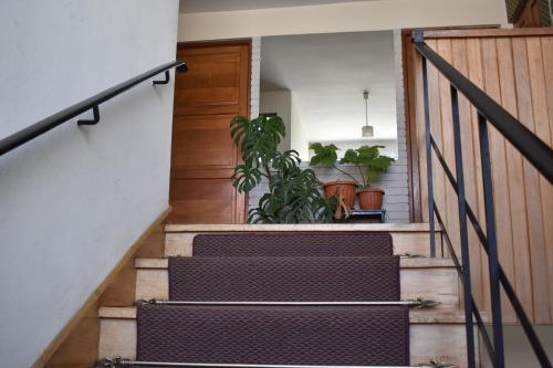 Casa Skyways B&B