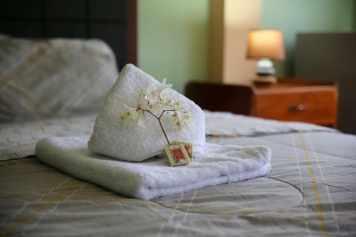 Bed & Breakfast Brisas Del Paraiso