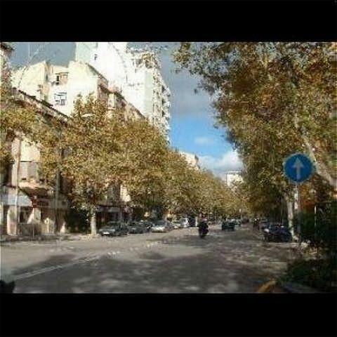 Hotel Amic Col�n
