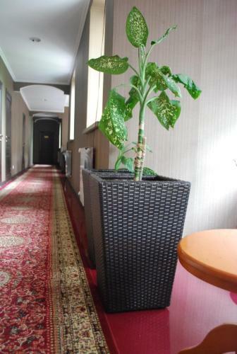 Astor Hotel