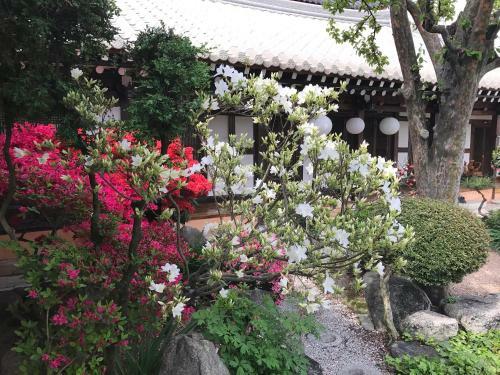 Hostal Taejomaru