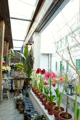 Peking Station Hostel