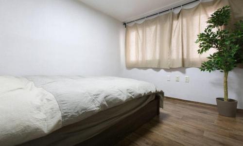 Apartamentos House In Hongdae 1