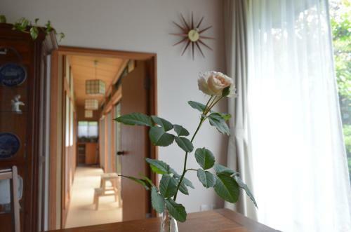 B&B Kumakara