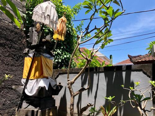 Kupu Kupu 39
