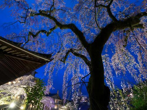 Arima Onsen Motoyu Ryuusenkaku