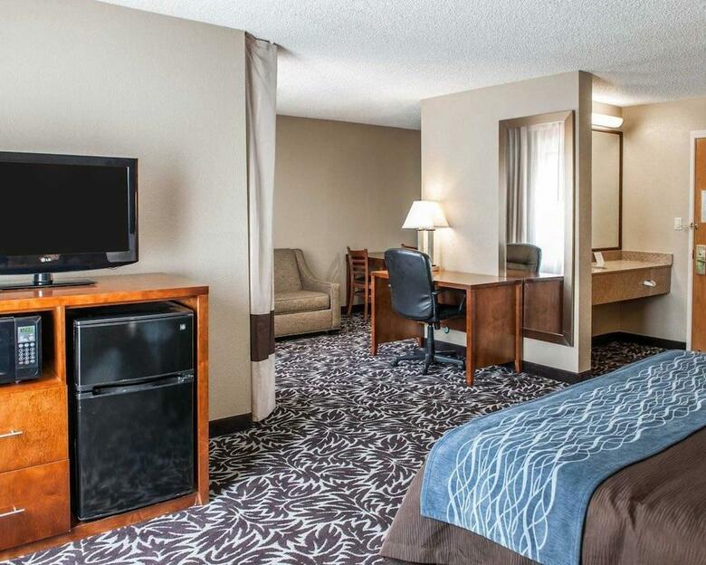 Hotel Comfort Inn South