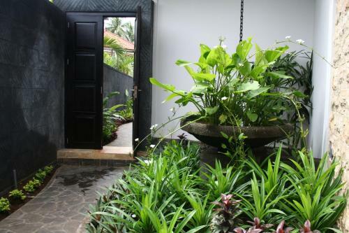 Villa Teman