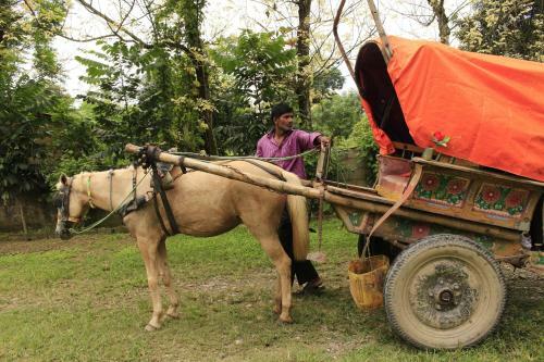Hotel Chitwan Safari Camp & Lodge