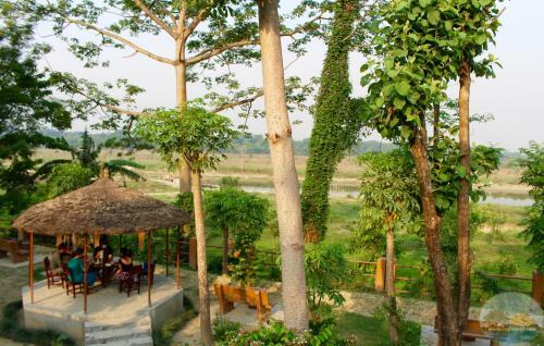 Bed & Breakfast River View Jungle Camp