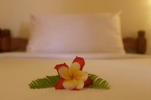 Hostal Chonos Hotel Lovina