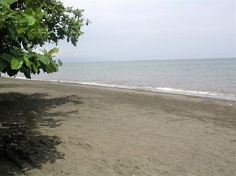 Hostal Frangipani Beach Hotel