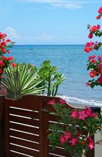 Hostal Frangipani Beach Hotel