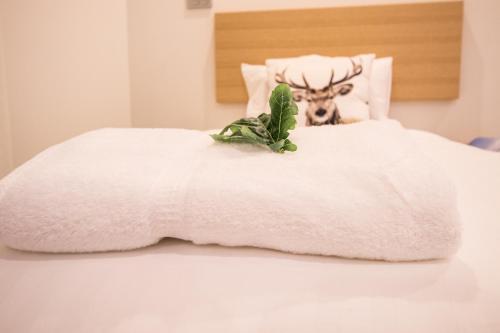 Apartamentos Hirafu 188