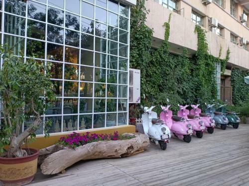 Dunhuang International Youth Hostel