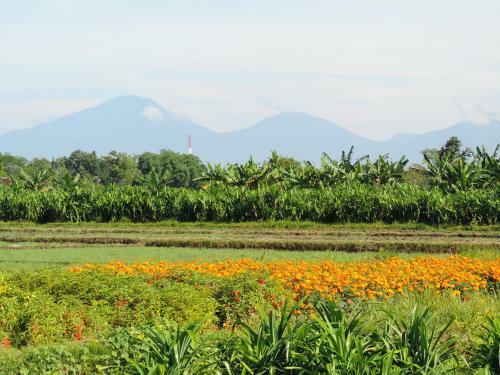 Budhi Ayu Cottages