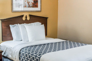 Hotel Comfort Inn North