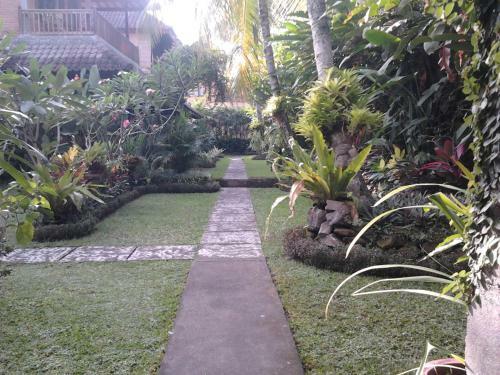 Hostal Rice Paddy Bungalow