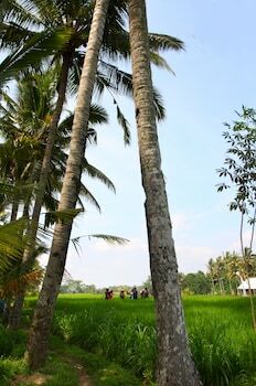 Beingsattvaa Retreat Villa