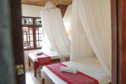Hostal Raka House Accommodation