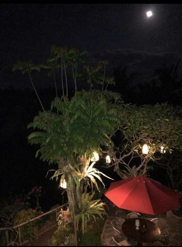 Bali Villa George