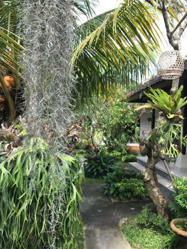Hostal Ubud 2 Bungalows