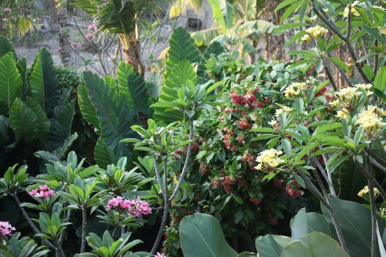 Hotel Ubud Wana Resort