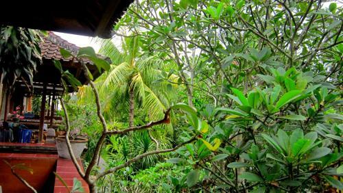 Hotel Ubud Bungalow