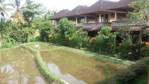 Hostal Arjana Bungalows Rice Field