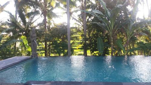 Hostal Arjana Bungalows Rice Field