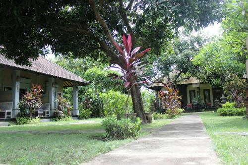 Bali Gecko Homestay