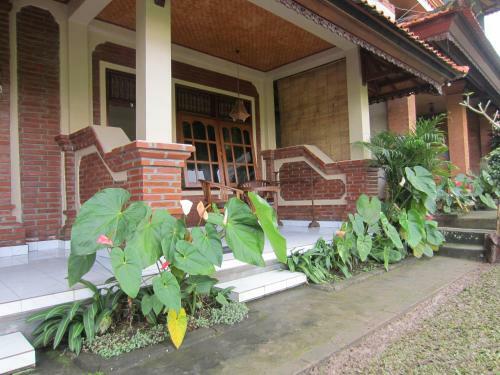 Hostal Danasari Homestay