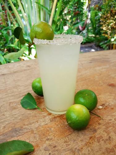 Hostal Mango Moon