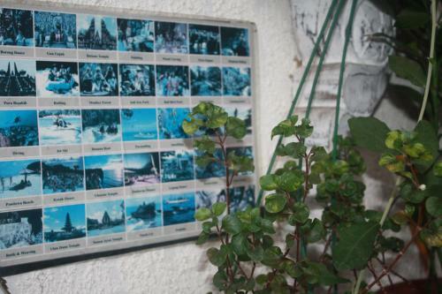 Hotel Gusti Homestay Kerobokan
