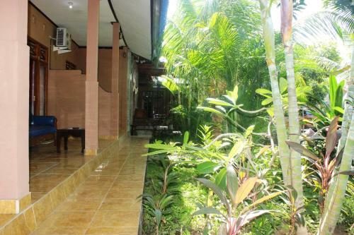 Hostal Mami Inn Menjangan