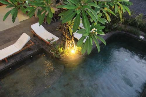 Hostal Semarandana Bedrooms And Pool