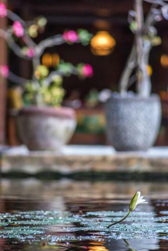 Hotel Pondok Sari Beach & Spa Resort