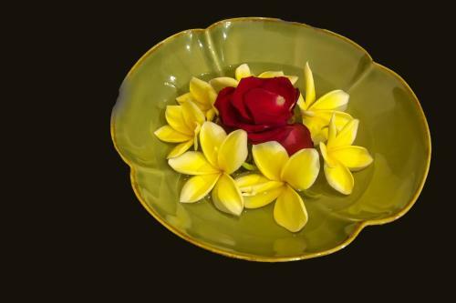Bed & Breakfast Frangipani Homestay