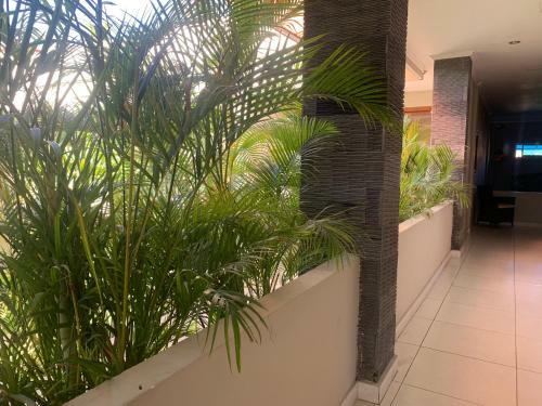 Hotel Sus Beach Cottages 1 Legian