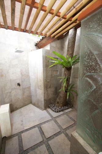 Bayshore Villa