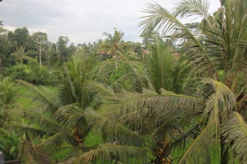 Hostal Arya Guest House