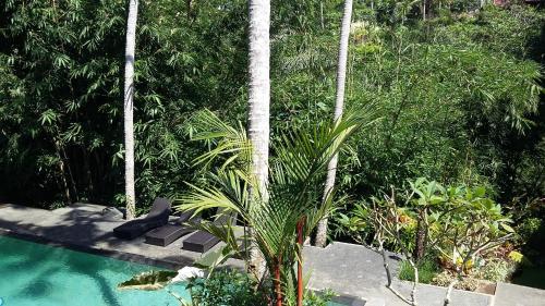 The Bali Shanti