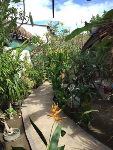 Hostal Aura Bungalow