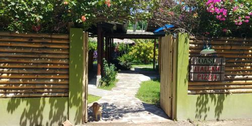 Hostal Oasi Bungalows