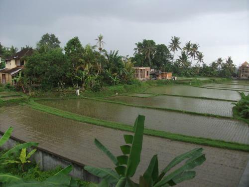 Posada Suwar Bungalows