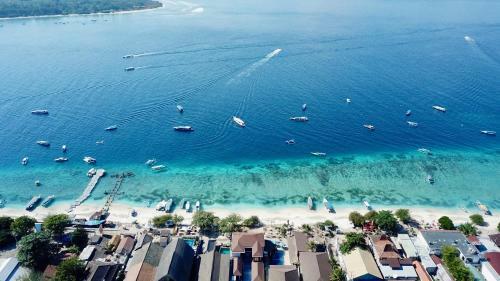 Dream Divers Resort