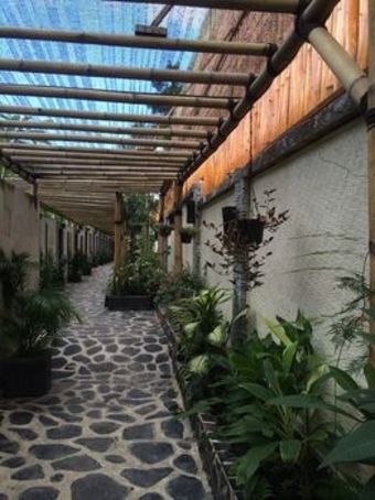 Hotel Scallywags Resort