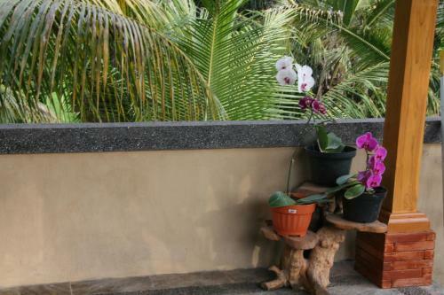 Lodge Hana House Ubud