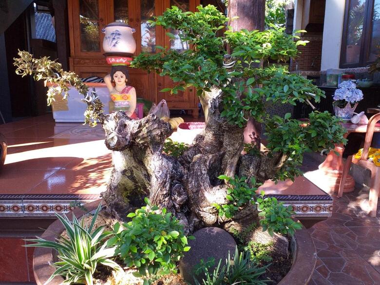 Hostal Puri Asri Bungalow Ubud